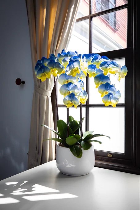 台湾宣布将与乌克兰进行进一步讨论，旨在切断俄罗斯获取用于其导弹的台湾芯片的渠道