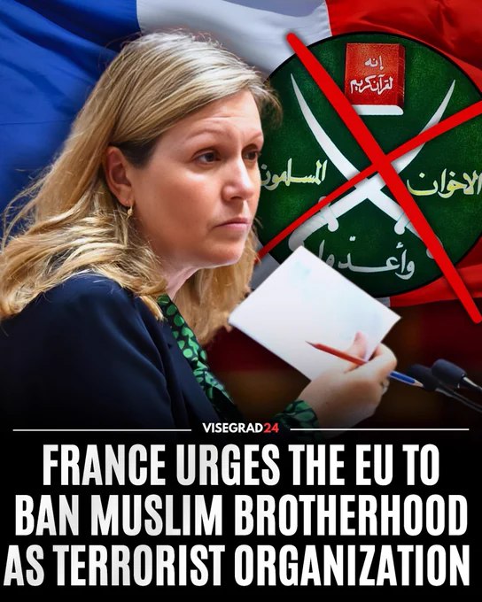 法国国民议会通过了欧洲决议提案，旨在将穆斯林兄弟会运动列入欧洲恐怖组织名单